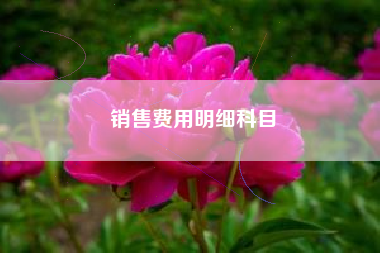 详细阅读:销售费用明细科目 销售费用明细科目