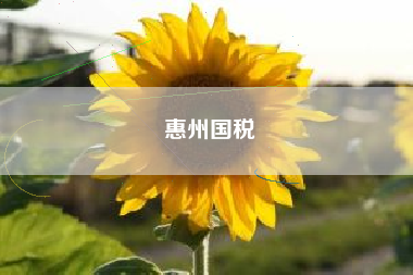 详细阅读:惠州国税 惠州国税