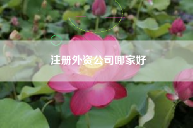 详细阅读:注册外资公司哪家好 注册外资公司哪家好