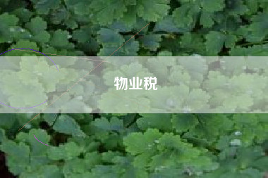详细阅读:物业税 物业税