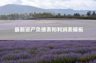 详细阅读:最新资产负债表和利润表模板 最新资产负债表和利润表模板