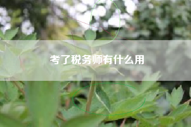 详细阅读:考了税务师有什么用 考了税务师有什么用