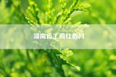 详细阅读:湖南省工商红盾网 湖南省工商红盾网