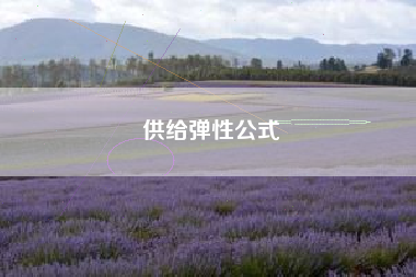 详细阅读:供给弹性公式 供给弹性公式