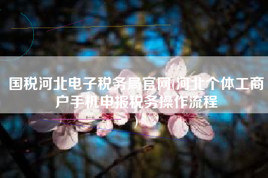 国税河北电子税务局官网(河北个体工商户手机申报税务操作流程
)