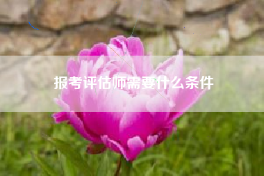 详细阅读:报考评估师需要什么条件 报考评估师需要什么条件