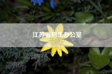 详细阅读:江苏省招生办公室 江苏省招生办公室