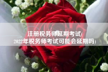 注册税务师延期考试(
2022年税务师考试可能会延期吗)