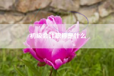初级会计职称是什么