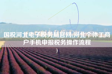 国税河北电子税务局官网(河北个体工商户手机申报税务操作流程
)