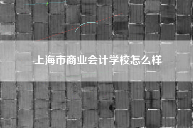 上海市商业会计学校怎么样
