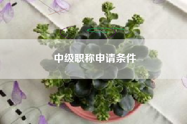中级职称申请条件