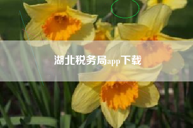 湖北税务局app下载