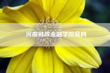 河南财政金融学院官网