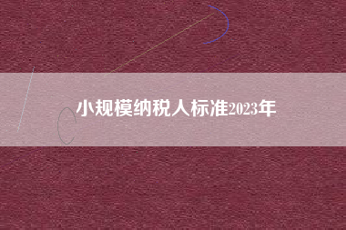 小规模纳税人标准2023年