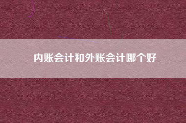 内账会计和外账会计哪个好