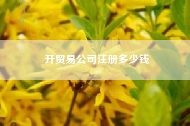 开贸易公司注册多少钱