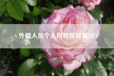 详细阅读:外籍人员个人所得税政策2021 外籍人员个人所得税政策2021