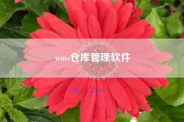 wms仓库管理软件