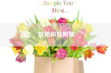 信用风险限额