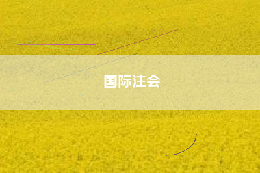 详细阅读:国际注会 国际注会