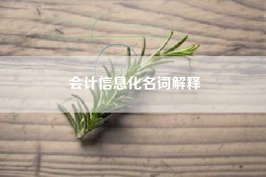 详细阅读:会计信息化名词解释 会计信息化名词解释