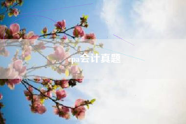 详细阅读:cpa会计真题 cpa会计真题