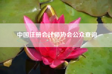 详细阅读:中国注册会计师协会公众查询 中国注册会计师协会公众查询