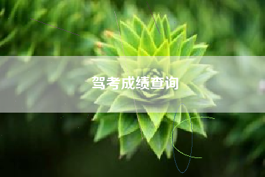 详细阅读:驾考成绩查询 驾考成绩查询