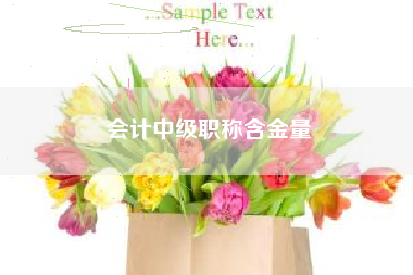 详细阅读:会计中级职称含金量 会计中级职称含金量
