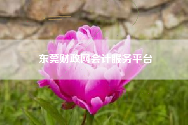 详细阅读:东莞财政网会计服务平台 东莞财政网会计服务平台