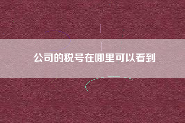 详细阅读:公司的税号在哪里可以看到 公司的税号在哪里可以看到