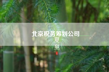 详细阅读:北京税务筹划公司 北京税务筹划公司