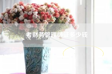 考财务管理师证多少钱