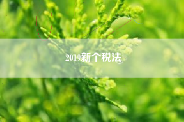 2019新个税法
