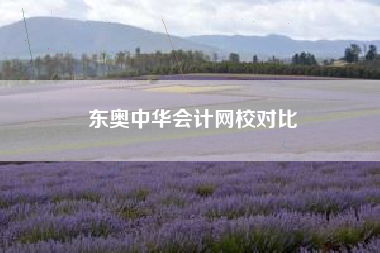 东奥中华会计网校对比