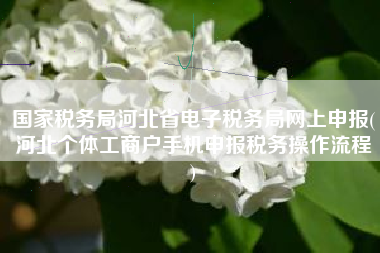 国家税务局河北省电子税务局网上申报(河北个体工商户手机申报税务操作流程
)