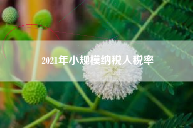 详细阅读:2021年小规模纳税人税率 2021年小规模纳税人税率