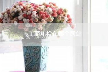 工商年检在哪个网站