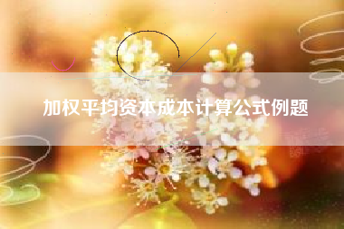 加权平均资本成本计算公式例题