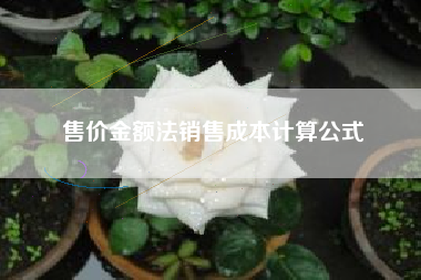 售价金额法销售成本计算公式