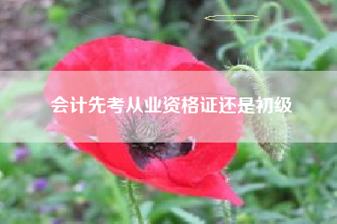 会计先考从业资格证还是初级