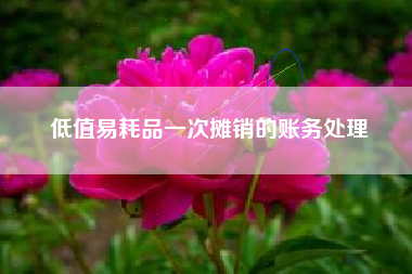 详细阅读:低值易耗品一次摊销的账务处理 低值易耗品一次摊销的账务处理