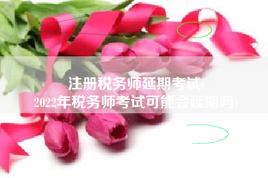 注册税务师延期考试(
2022年税务师考试可能会延期吗)