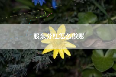 股东分红怎么做账