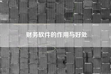 详细阅读:财务软件的作用与好处 财务软件的作用与好处