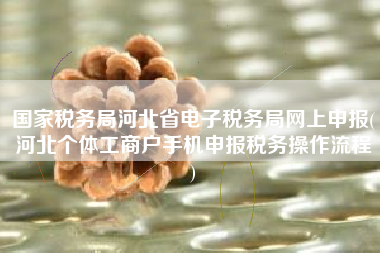 国家税务局河北省电子税务局网上申报(河北个体工商户手机申报税务操作流程
)