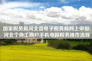 国家税务局河北省电子税务局网上申报(河北个体工商户手机申报税务操作流程
)