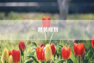 详细阅读:财务规划 财务规划