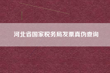 详细阅读:河北省国家税务局发票真伪查询 河北省国家税务局发票真伪查询